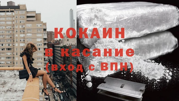 эйфоретик Арсеньев