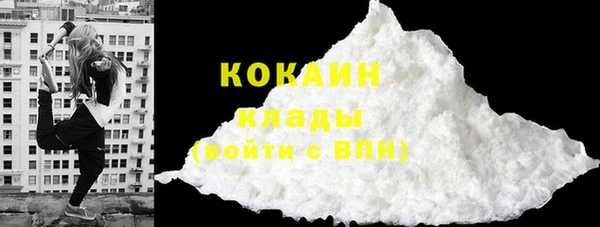 эйфоретик Арсеньев