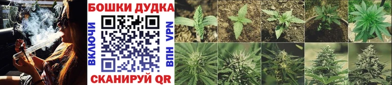 Канабис ГИДРОПОН  наркота  Холм 